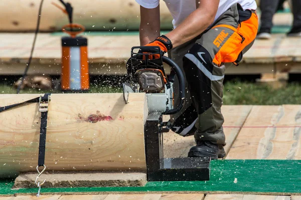 Khmelnitsky. Ukrayna. 22 Haziran 2019. Khmelnitsk içinde Stihl testere