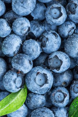 Su olgun tatlı yaban mersini üzerinde düşer. Taze yaban mersini artalan