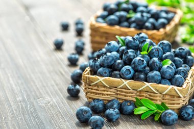 Metin için kopya alanı ile taze yaban mersini arka plan. Mavi