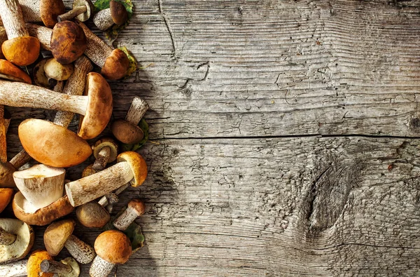 Taze karışık orman mantar masada ahşap siyah, üstten görünüm