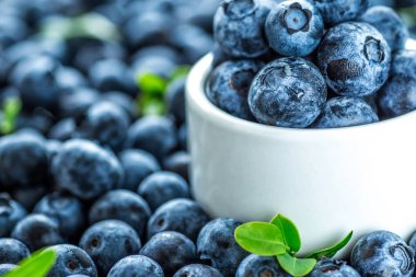 Metin için kopya alanı ile taze yaban mersini arka plan. Mavi