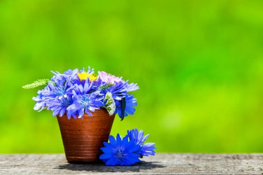 çiçeklerile güzel romantik kompozisyon. tebrik kartı, symb