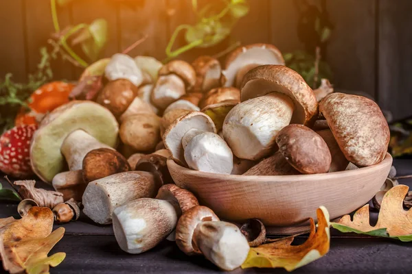 Ahşap Arka Plan üzerinde Mantar. Ahşap üzerinde Sonbahar Cep Mantarlar. A