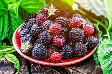 Masada ahşap rustik kase olgun ahududu.Organik çilek wi