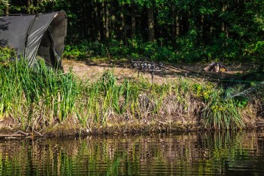 Lake.Carp Angling doğal manzara ov de Sazan oturumu