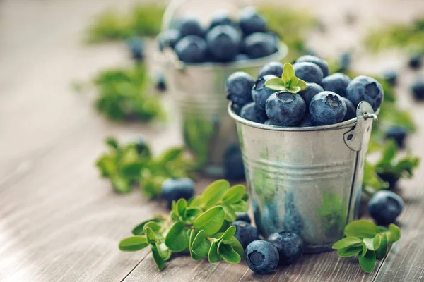 Fresh blueberries background with copy space for your text. Blue — Stock Photo, Image