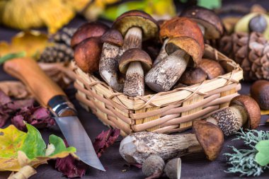 Mantar Boletus ahşap hasır sepetiçinde. Wo üzerinde Boletus edulis