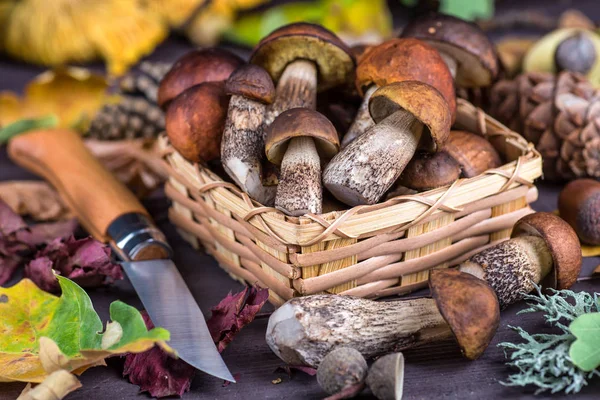 Mantar Boletus ahşap hasır sepetiçinde. Wo üzerinde Boletus edulis