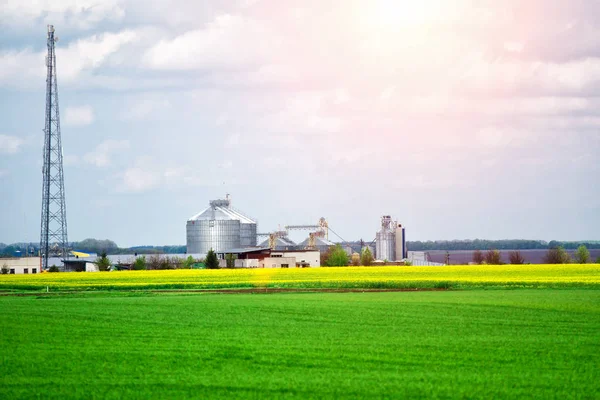 Silos Agrícolas Armazenamento Secagem Grãos Trigo Milho Soja Girassol Contra — Fotografia de Stock