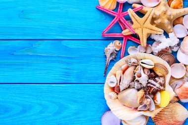 Yaz zamanı konsepti. Güzel deniz yıldızlarıyla bezenmiş düz bir kompozisyon.