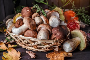 Ahşap Arka Plan üzerinde Mantar. Ahşap üzerinde Sonbahar Cep Mantarlar. A