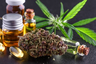 Tıbbi marihuana çiçeği tomurcukları. Eğlence amaçlı marihuana türü. Kenevir soyu. Cam kavanozda ot tomurcuğu. Dispanser menüsü. Siyah tıbbi marihuana konseptiyle izole edilmiş kenevir budu.