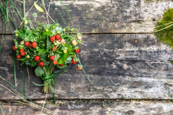 Red Strawberries Berry White Flowers Wild Meadow Close Summer Bunch — Stock Photo, Image