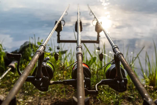 Carpfishing Session Lake Carp Angling Scenic Landscape Overlooking Lake Dawn — 스톡 사진