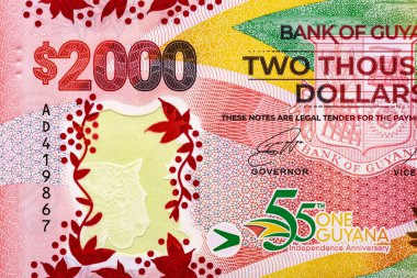 Guyana 2000 Dolar 2021. Ulusal Birlik teması ve Guyana 'nın çocuklarının ülkenin etnik cinsiyet çeşitliliğini sergilediği hayallerini içeriyor. Bonistic.Dünya para koleksiyonu.