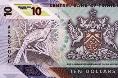 Trinidad ve Tobago 10 Dolar Polimer Banknote 2020. Bonistik.Tasarım amacı için küçük banknot. Dünya para koleksiyonu. 