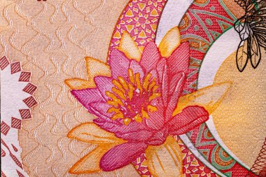 Guyana 2016 Banknotları. Macau portresi, Guyana haritası. Dünya para koleksiyonu.. 