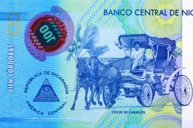 Nikaragua 100 Cordobas 2014 Polymer Banknotları. Granada 'daki Bayan Varsayım Katedrali. İki tekerlekli at süren bir adam. Bonistikler.. 