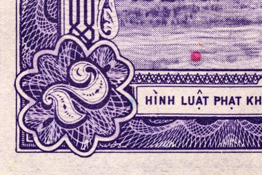 Vietnam 2. Dong 1955 'te 