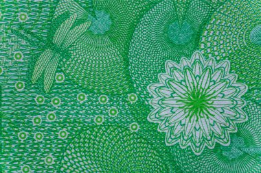 Arjantin 200 pesosu 2020. Obverse-Southern sağ balinası (Eubalaena australis), çiçekler. Tersine Valds Yarımadası, Arjantin haritası. Dünya para koleksiyonu. Tasarım amaçlı Bonistic.Parça.