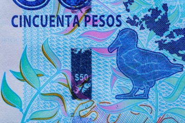 Arjantin 50 pesosu 2015. Malvinas Adaları (Falkland Adaları) ve Karayipler haritası. Dev yosun, albatros. Gaucho Antonio Rivero at sırtında Arjantin bayrağını tutuyor. Dünya para koleksiyonu..