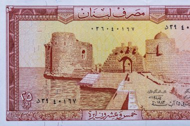 Arjantin 200 pesosu 2020. Obverse-Southern sağ balinası (Eubalaena australis), çiçekler. Tersine Valds Yarımadası, Arjantin haritası. Dünya para koleksiyonu. Tasarım amaçlı Bonistic.Parça.