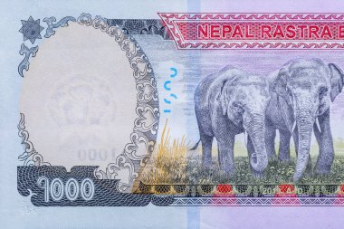 Nepal 1000 rupi 2019. Everest Dağı, Swayambhunath stupa & Harati tapınağı. Tersine İki Asya Fili. Dünya para toplama. Bonistikler. Tasarım amaçlı parça..