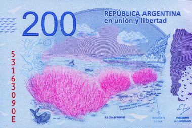 Arjantin 200 pesosu 2020. Obverse-Southern sağ balinası (Eubalaena australis), çiçekler. Tersine Valds Yarımadası, Arjantin haritası. Dünya para koleksiyonu. Tasarım amaçlı Bonistic.Parça.