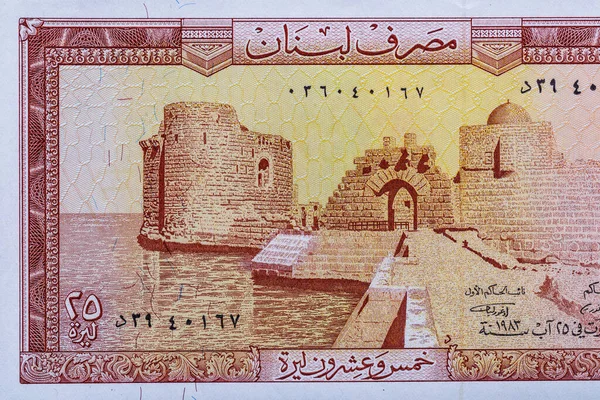 Arjantin 200 pesosu 2020. Obverse-Southern sağ balinası (Eubalaena australis), çiçekler. Tersine Valds Yarımadası, Arjantin haritası. Dünya para koleksiyonu. Tasarım amaçlı Bonistic.Parça.