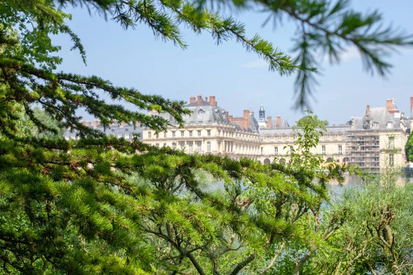 Belle vue sur le palais à travers les branches de mélèze — Photo