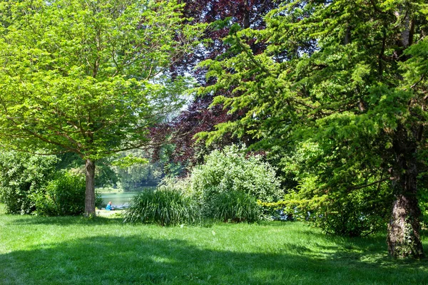 Piękny park krajobraz. W głębi Parku na brzegu — Zdjęcie stockowe