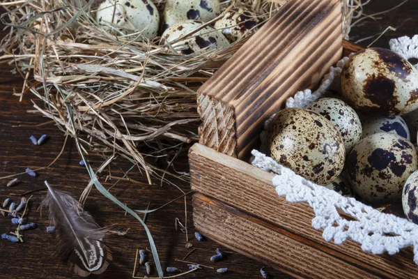 Oeufs de caille nature morte. Pâques nature morte — Photo