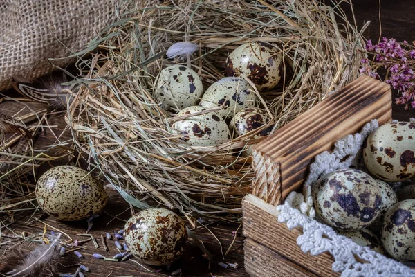 Carina la natura morta con uova di quaglia. Natura morta di Pasqua — Foto Stock