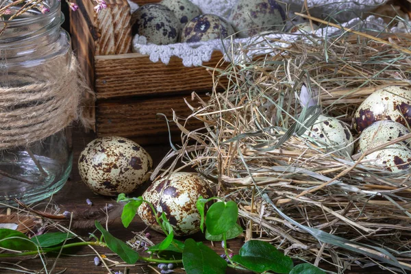 Cute martwa życia z jaj przepiórczych. Wielkanoc jeszcze życie — Zdjęcie stockowe