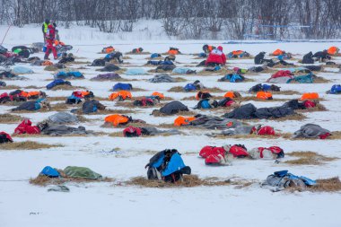 Finnmark, Norveç-9 Mart 2019: köpek kızak yarışmaları 