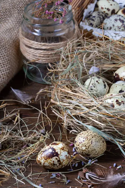 Jolie nature morte avec des œufs de caille. Œufs de caille dans le nid et sur t — Photo
