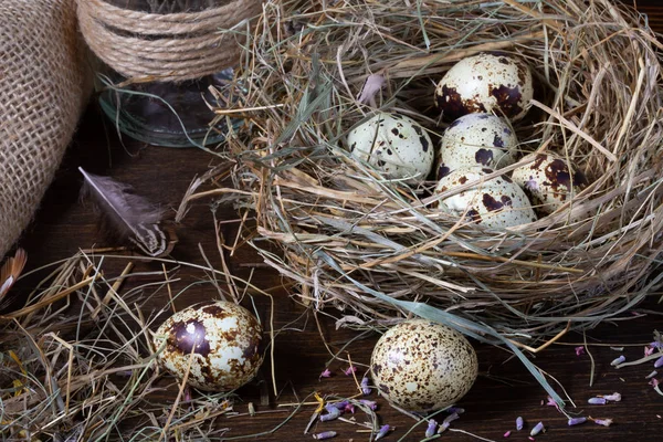 Páscoa ainda vida. Ovos de codorna no ninho e na velha madeira — Fotografia de Stock