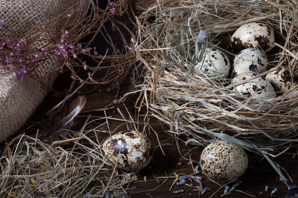 Páscoa ainda vida. Ovos de codorna no ninho e na velha madeira — Fotografia de Stock