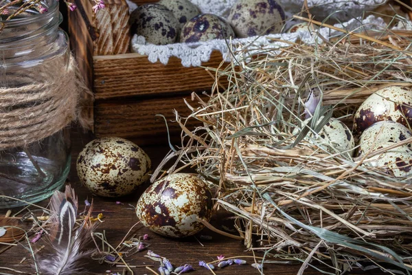 Jolie nature morte avec des œufs de caille. Œufs de caille dans le nid et sur t — Photo