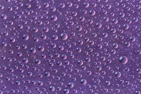 Beautiful water drops of the correct form on a purple background — Stock Photo, Image