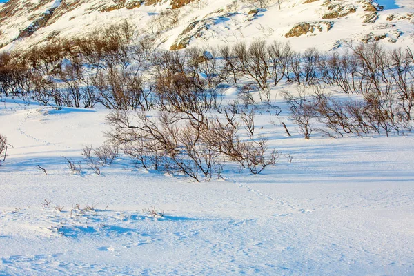 Kış Dağı Manzarası 