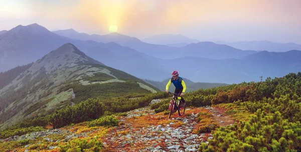 Závodník Alpské Kamenné Cestě Karpatech Uhlíkem Horské Kolo Sportovní Skupiny — Stock fotografie