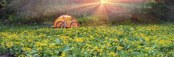 Весна Поїздка Карпатах Серед Альпійські Квіти Крутий Гірський Велосипед України — стокове фото