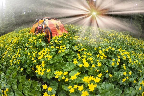 Viaje Primavera Los Cárpatos Entre Flores Alpinas Con Una Bicicleta — Foto de Stock