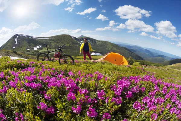 Wiosna Wycieczka Karpatach Wśród Alpejskie Kwiecie Stromych Górskich Rower Ukraina — Zdjęcie stockowe