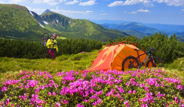 Spring trip in the Carpathians among alpine flowers with a steep mountain bike Ukraine and a bright tent for high-altitude climbing in background of the wild beautiful nature forest meadow