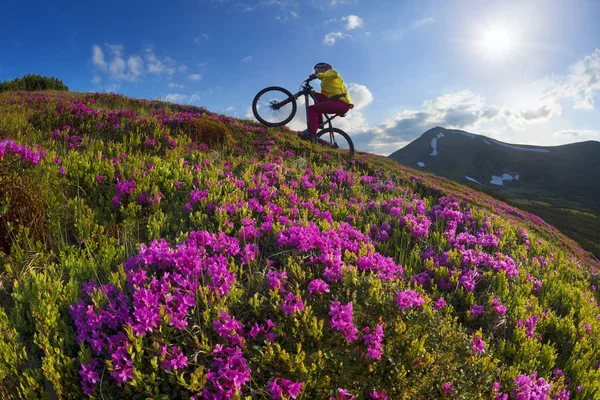 가파른 자전거 우크라이나와 풀밭의 배경에서 알파인 사이에서 Carpathians에서 — 스톡 사진
