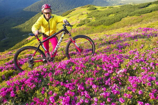 Весна Поїздка Карпатах Серед Альпійські Квіти Крутий Гірський Велосипед України — стокове фото