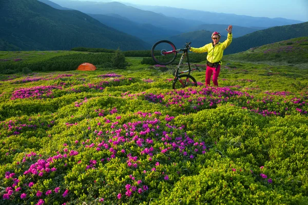 Viagem Primavera Nos Cárpatos Entre Flores Alpinas Com Uma Bicicleta — Fotografia de Stock