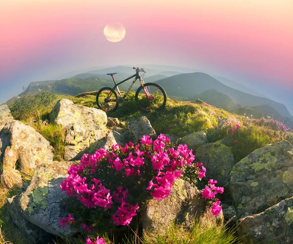 Viaje Primavera Los Cárpatos Entre Flores Alpinas Con Una Bicicleta — Foto de Stock